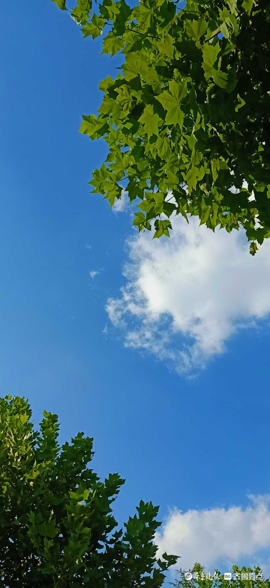 闲暇出游济南情报员"独行侠":太阳高高挂在天上,蓝天白云美爆天空