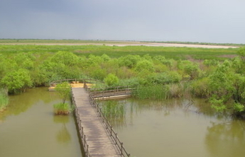 生态泉城｜山东省首份三市横向生态补偿协议签订成功