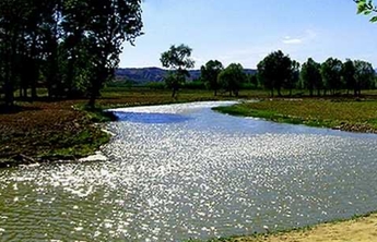生态泉城｜山东省海河流域首份横向生态补偿协议正式签订
