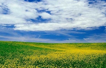 山东深入推进生态环保行刑衔接