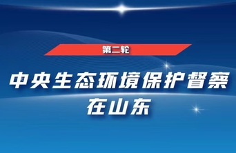 中央第二生态环境保护督察组转办信访举报件办理情况（第十三批）