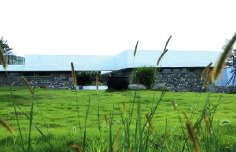 走进宝藏村镇｜教授专家“落户”，威海大水泊有了人才“活水”