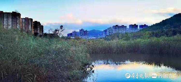 中秋悦|雨过天晴后，孟家水库风景如画