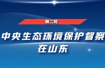 中央第二生态环境保护督察组转办信访举报件办理情况（第十七批）