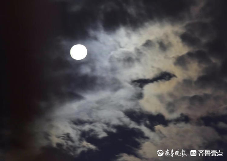 中秋悦|八月十五云遮月