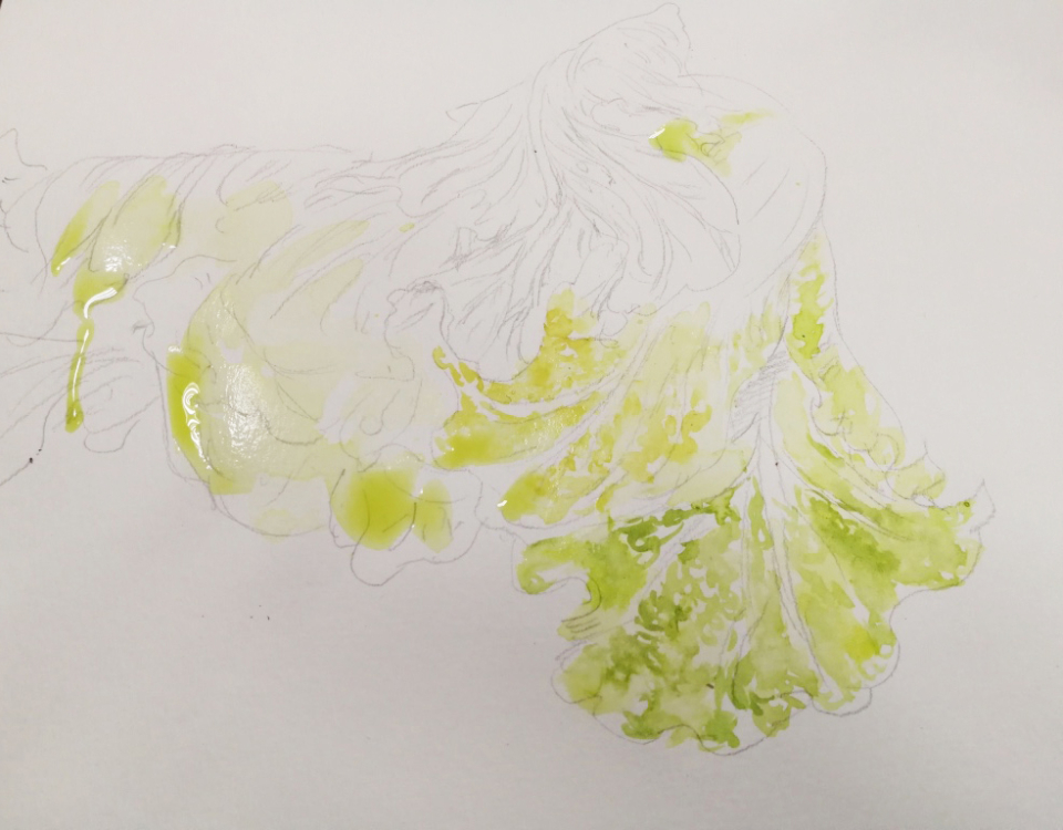 白菜的叶脉图怎么画图片