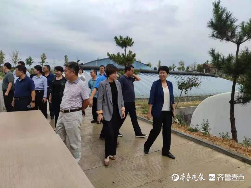 朱延华到祝阳镇调研岱岳山谷乡村振兴市级先行区建设情况