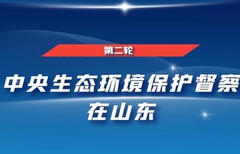 中央第二生态环境保护督察组转办信访举报件办理情况（第十九批）