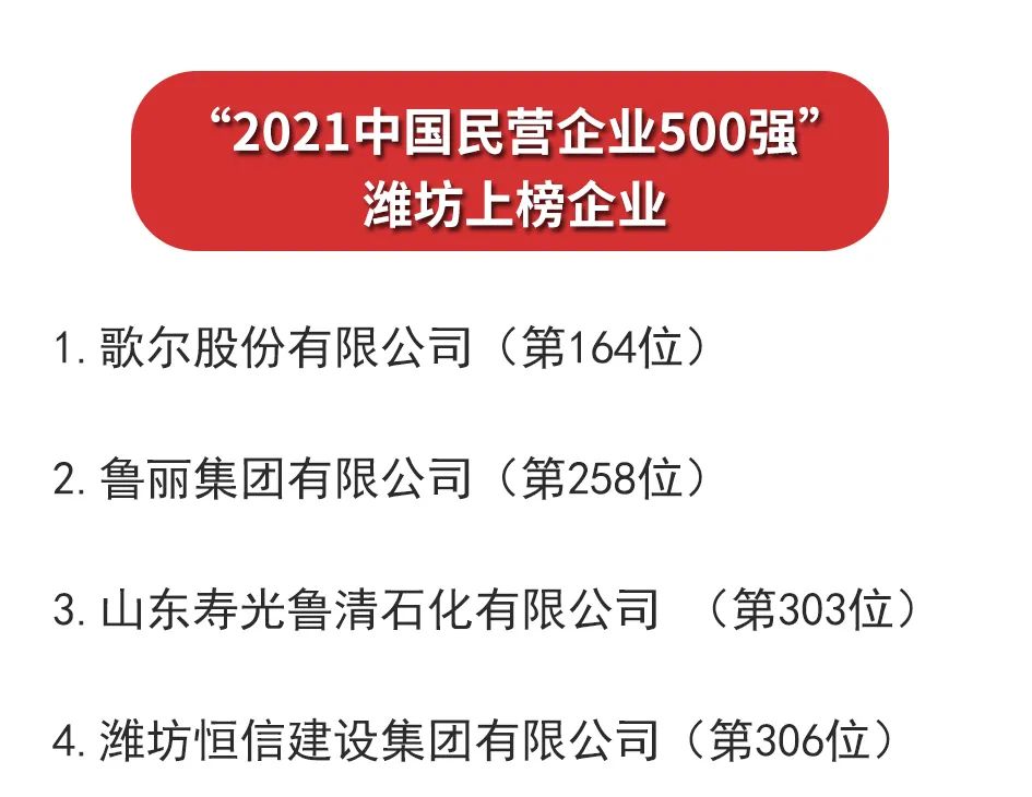 潍坊4家企业入围2021中国民营企业500强！