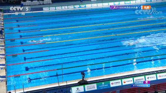 山东第58金！男子1500米自由泳决赛，程龙夺冠，季新杰摘铜