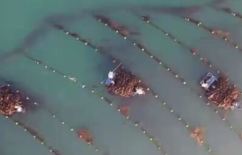 探岛·大钦 | 不到“海带岛”，不知海带有多少