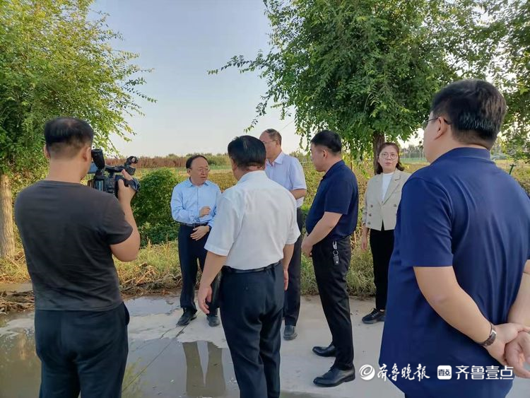 曹升灵一行到佃户屯督导调度农田排涝秋收工作