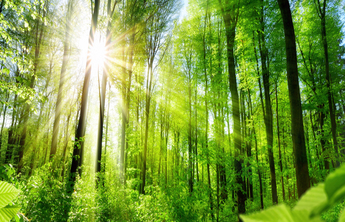 美好生活|阳光事业让我的生活更加多彩