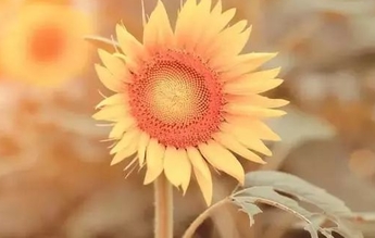 美好生活|公方彪的美好生活