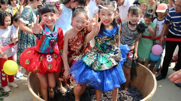 壹直播|法式酒庄露营，葡萄果香四溢！记者探访张裕卡斯特采摘节