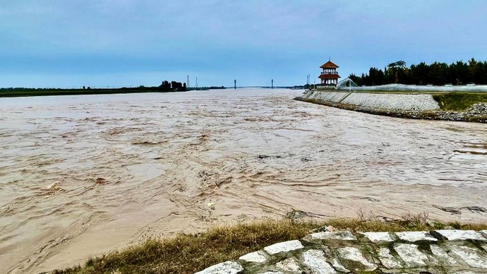 直播东营｜齐鲁晚报·齐鲁壹点记者赴黄河东营段老于滩探防汛