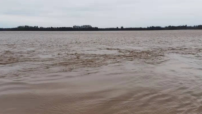 直播东营|黄河出现3号洪水！记者赴黄河河口段八连控导处探防洪