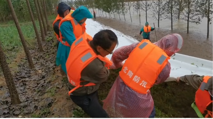 壹点聊望台|直击防汛一线，冠县北馆陶镇昼夜不歇筑牢防汛安全堤