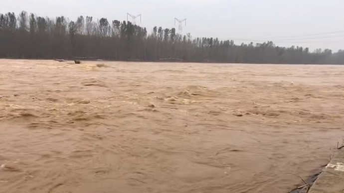 直播东营|洪水持续15天！记者走近利津黄河五庄控导现场