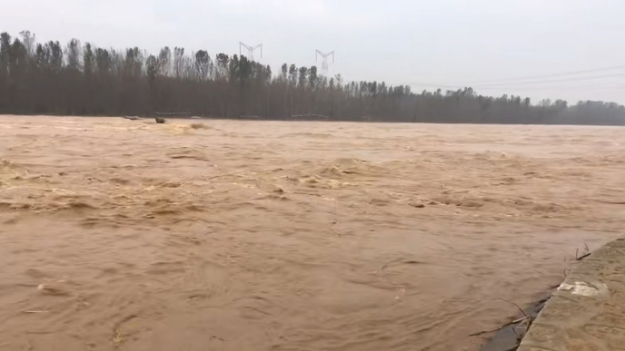 直播东营｜抗洪进入“持久战”！记者夜访黄河东营段龙居镇董王滩