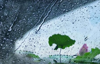 齐鲁早报|山东发布山洪灾害预警！烟台青岛两市多个地区注意防范