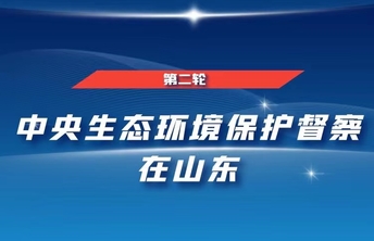 中央第二生态环境保护督察组转办信访举报办理情况（第二十五批）
