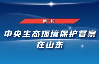 中央第二生态环境保护督察组转办信访举报办理情况（第二十七批）