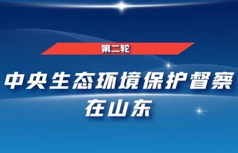 中央第二生态环境保护督察组转办信访举报办理情况（第二十九批）