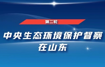 中央第二生态环境保护督察组转办信访举报办理情况（第三十批）