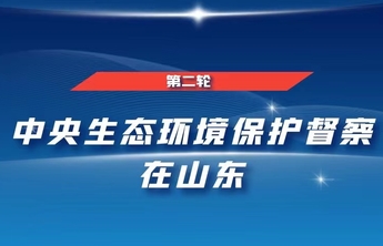 中央第二生态环境保护督察组转办信访举报办理情况（第三十一批）