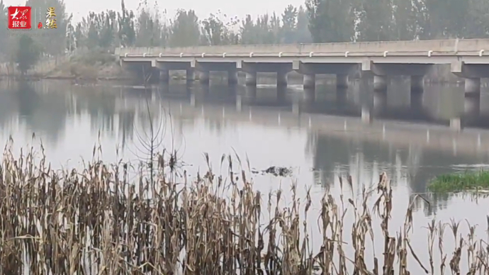 果然视频|吃住都在大堤，现场直击聊城阳谷县金堤河防汛一线
