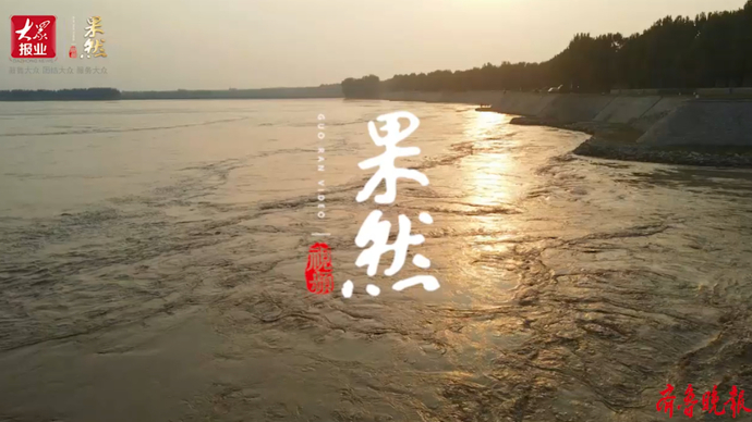 果然视频丨“全力奋战黄河秋汛，看东阿黄河人的昼夜坚守”