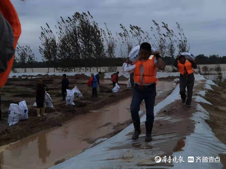 这就是山东·战秋汛丨高青县芦湖街道：争当防汛抗洪“最红战旗”