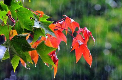 今天德州延续秋高气爽14日或有小雨上线