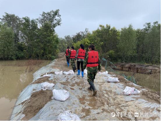 高新区青田街道：防汛“半边天”， 绽放“巾帼红”