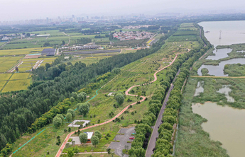 济南将打造北部黄河生态风貌带，未来沿黄一线全是景