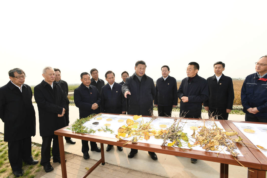 习近平继续在东营考察调研