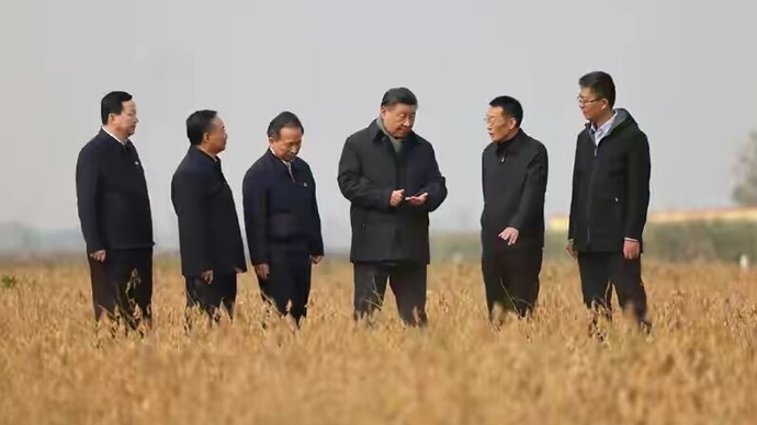 果然视频|黄河三角洲盐碱地上豆满仓