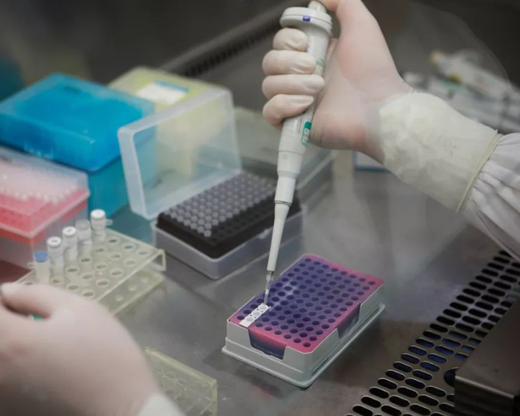 10月24日，国务院联防联控机制召开新闻发布会，交通运输部、文旅部、国家卫健委、海关总署相关司局负责同志和中国疾控中心专家将出席，介绍加强秋冬季疫情防控和做好疫苗接种有关情况，并答记者问。