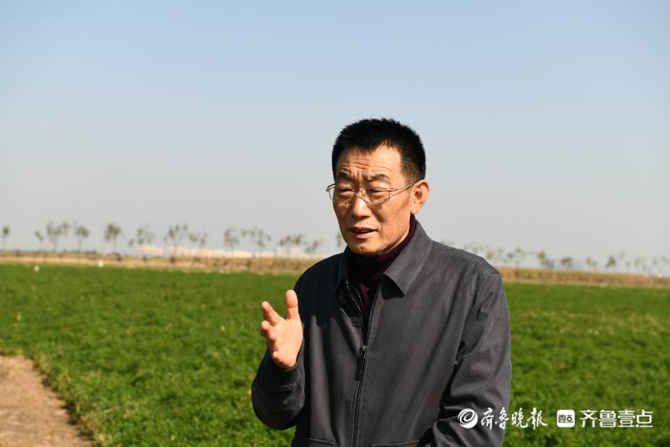 盐碱田里一颗豆子种下的希望