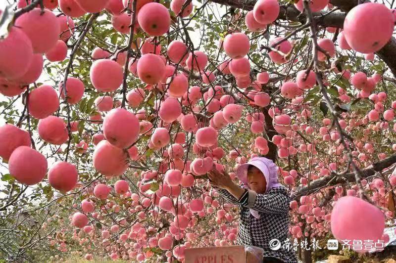 山东沂源首富图片