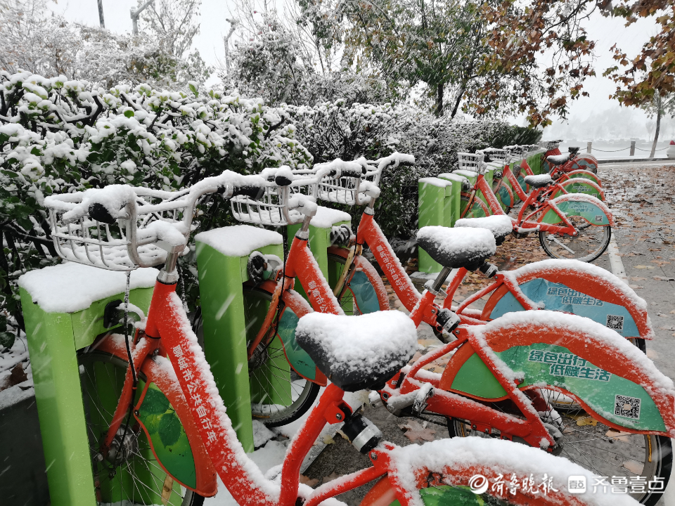 暴雪橙色预警+道路结冰黄色预警！聊城迎来今冬首场雪