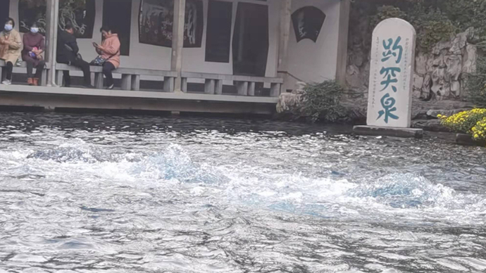 直播济南|初雪首秀！“云雾润蒸”美景再现，趵突泉宛若仙境