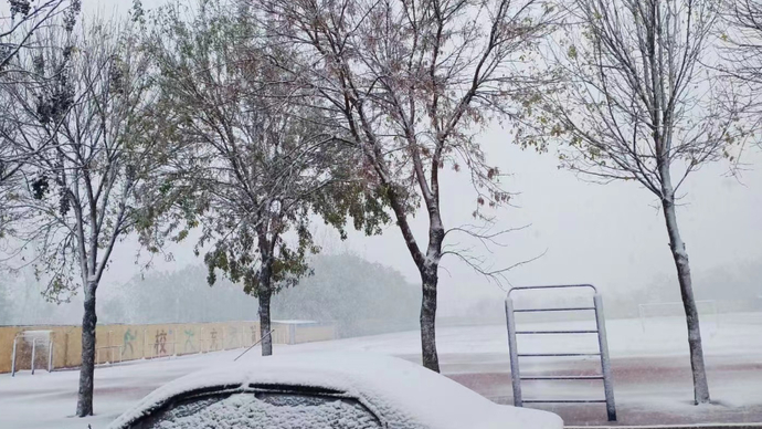 果然视频|雪姑娘来啦！山东多地飘雪，跟情报员来看山东第一雪吧