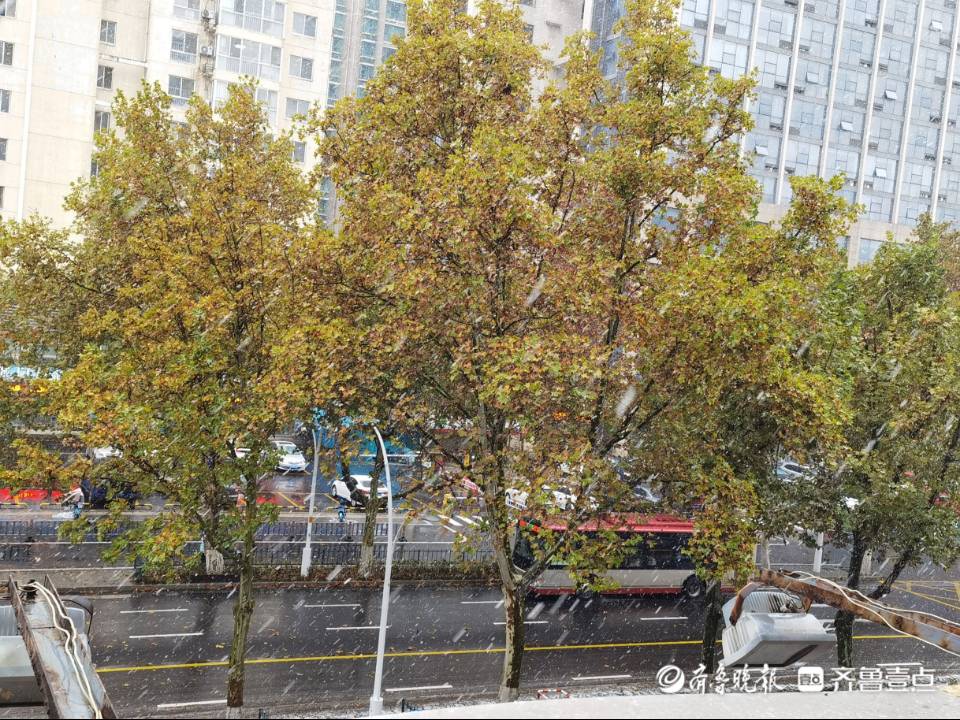 淄博迎入冬首场降雪！气温骤降至-6℃