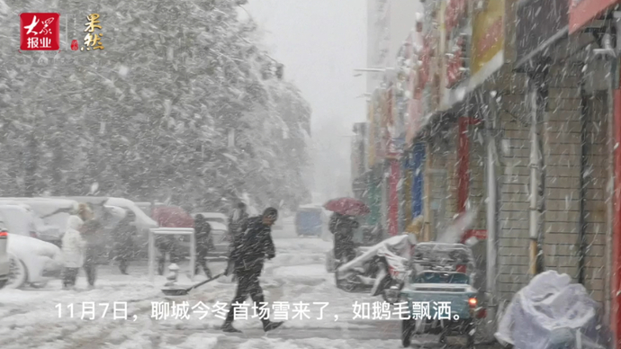 果然视频|聊城迎来今冬首场雪，如鹅毛飘洒