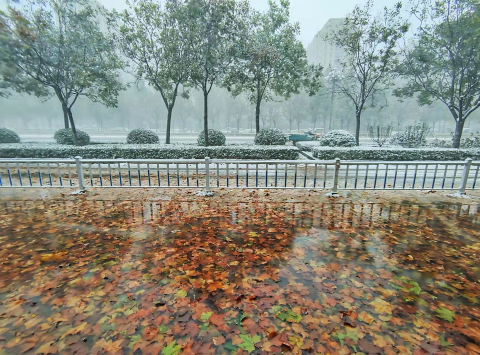 暴雪来袭!下雪还打雷！德州气象专家：雷打雪预示着出现暴雪