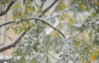 卓琪说天气｜济南今冬初雪来啦！天气如何快来看看吧