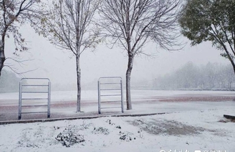 下雪啦，白雪皑皑美如画卷！情报员带你看聊城今冬第一场雪