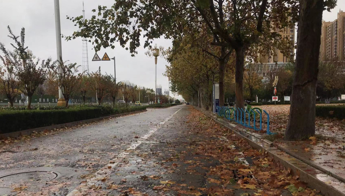 风、雨、雪齐上阵 ，菏泽一秒入冬！